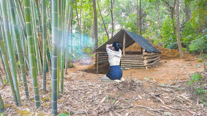 Building a Bamboo House 2025 & Girl builds shelter in the forest alone