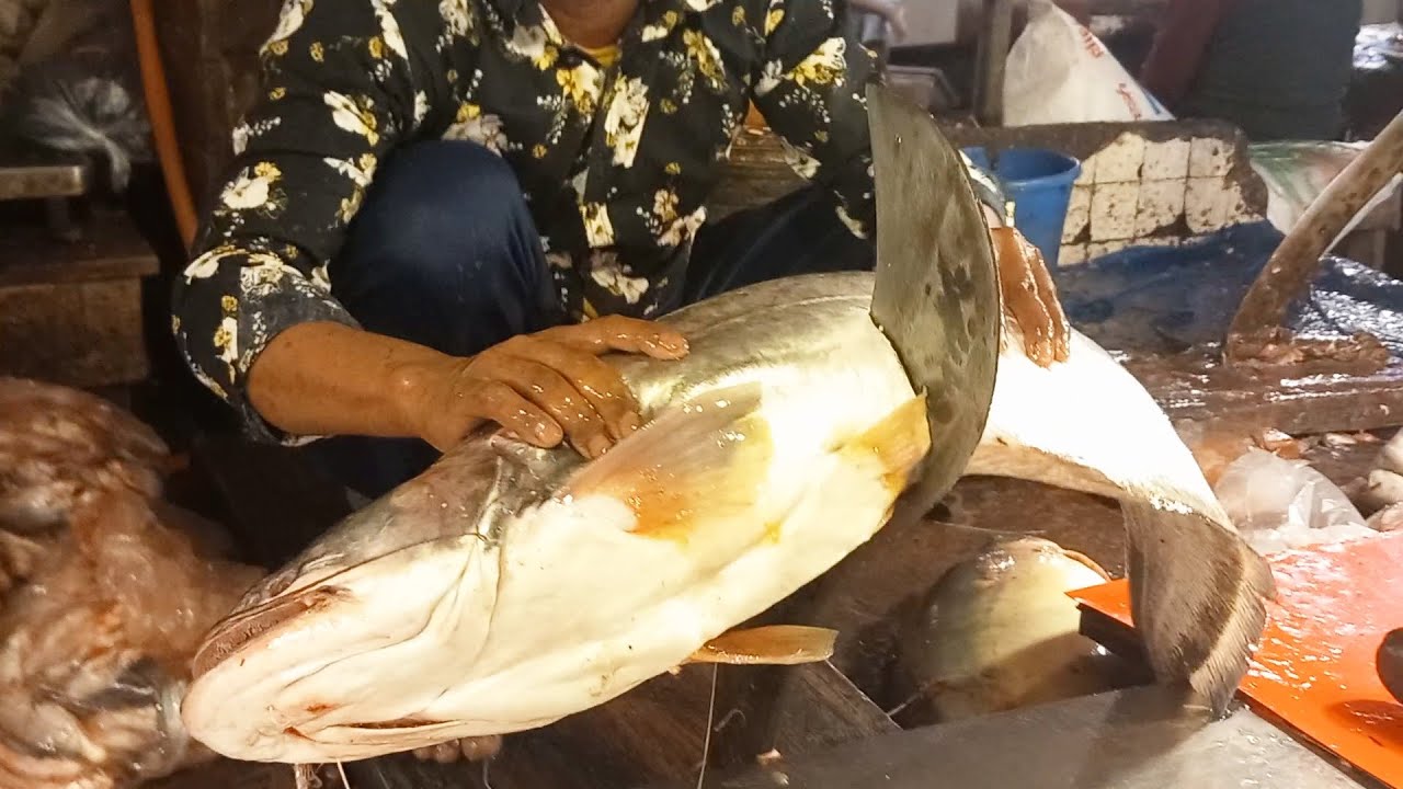 Never Seen! Giant Boal Fish Cutting by Expert Fish Cutter | Boal Fish ...