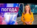 Погода на неделю с 25 по 31 мая 2020. Прогноз погоды. Беларусь | Метеогид