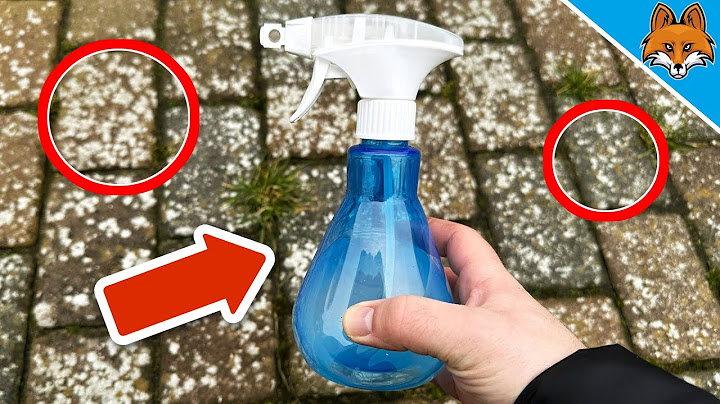 Bezproblemowe usuwanie porostów z kostki brukowej💥(dzięki TEMU cudownemu produktowi)🤯