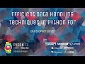 Efficient data handling techniques in python for oracle database