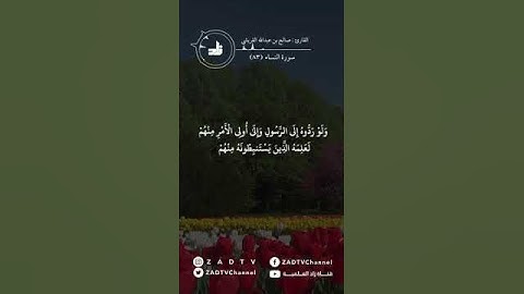 ماتيسر من سورة النساء | فضيلة القارئ الشيخ / صالح بن عبدالله القريشي