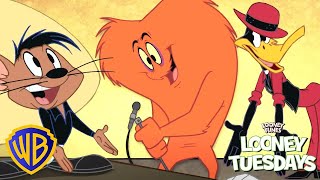 Looney Tunes en Español 🇪🇸 | Talento Looney 🤪 l Pato Lucas | @WBKidsEspaña