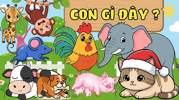Con Gì Đây? 10 Con Vật Và Tiếng Kêu Quen Thuộc Cho Bé Học Và Nhận Biết Thông Minh Sớm