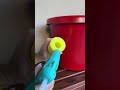 Creating a Giant Chocolate Cup Decoration