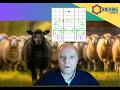 Sorting the Sheep from the Goats