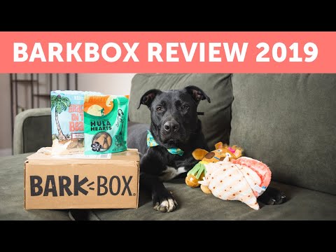 barkbox-review-2019---is-it-worth-trying?