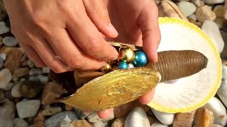 Mutated golden-shelled geoduck, covered with golden pearls