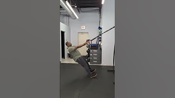 TRX Single Arm Row