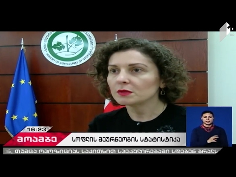 სტატისტიკის სტრატეგიული გეგმის (SPAERS) განხილვა