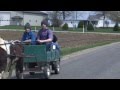 Amish Buggies and School Children