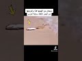 حالات واتساب سبحان الله سمكة تخرج من قعر البحر لانقاذ سمكة أخرى