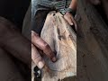 plowing on log two ember #firemaking #survivalfire#primitivefire