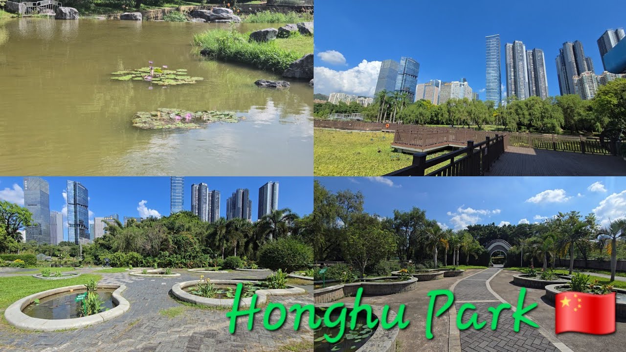 [4K60fps]Shenzhen : Walking in Honghu Park (洪湖公園) - YouTube