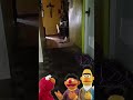 Elmo,ernie,bert,cookie monster.