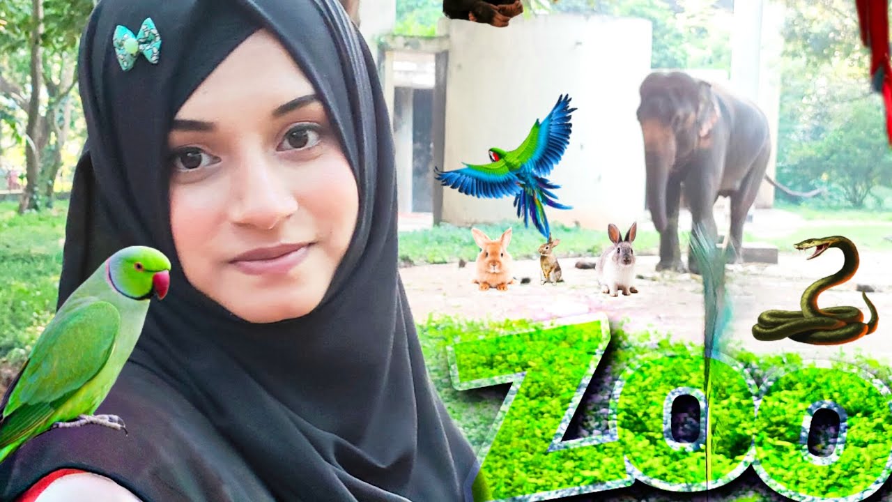 Bangladesh National Zoo 🦖🐸🐴🦄🦕 Animal Lover Pets Lover Vlog YouTube