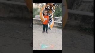 Kasif And Tiger Ai Video