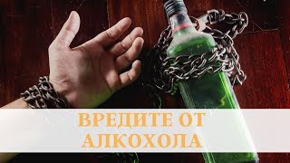 5 Причини Да Избягвате Приема На Алкохол (ВРЕДИ ОТ АЛКОХОЛА)