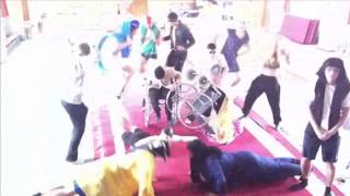 Gelek Harlem Shake Sjpa