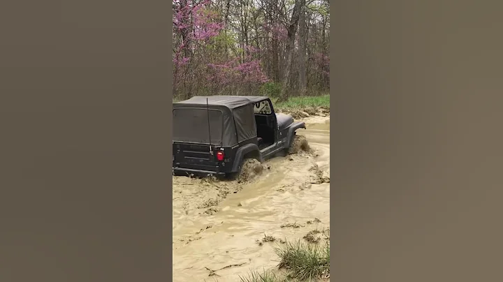 YJ in a rather Large mud puddle. #Jeep #wrangler #4wheeldrive  #Bigdogs #YJ #muddywater  #mudding