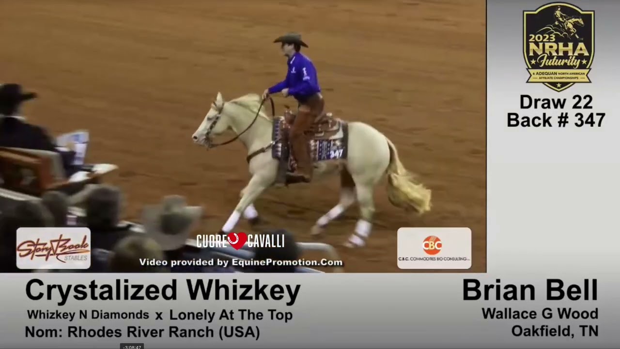 🥇 Champion NRHA Futurity 2023 Brian Bell & Crystalized