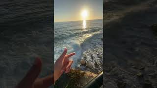 Laguna rip currents got me but I’ve seen the waves really mess some people up