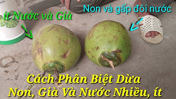 Cách Phân Biệt Dừa Non Già, Nước Nhiều Hay Ít