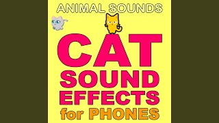Cat Meow (Long Version) screenshot 4