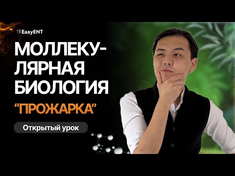 Видео: Молекулярная биология | ЕНТ 2024 | Часть 1