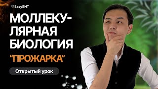 Молекулярная биология | ЕНТ 2024 | Часть 1