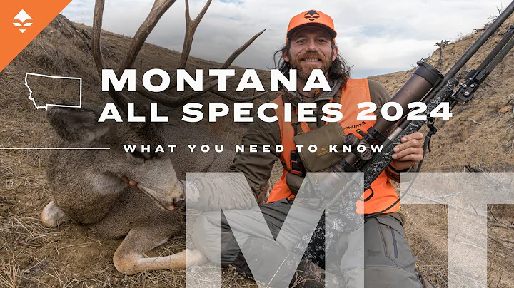 How to Go Hunting in Montana | Everything You Need to Know ( Deer & Elk Application )