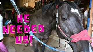 Storm Might Not Be Ok