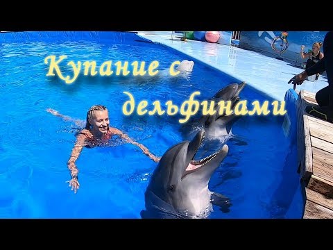 Плаваем с дельфинами.