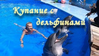 СЕВАСТОПОЛЬСКИЙ ДЕЛЬФИНАРИЙ FLIPPER🔴 Плаваем с дельфинами. Севастопольский дельфинарий.