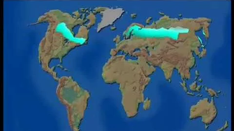 Зона смешанных и широколиственных лесов