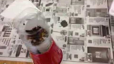 Tau Beta Pi Outreach AISS 2013