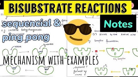 Bisubstrate Reactions || Sequential and Ping pong reaction ||With Examples 😎😎Notes 📝😎