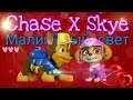 •Гонщик и Скай•~~для канала Chase Paw patrol/☆Chase X Skye☆~for Chase Paw patrol chanel.