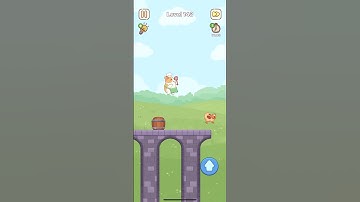 Satistory Tidy Up Level 143 – Catching the Chicken (3 Stars)