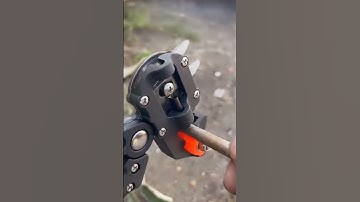 Kéo cắt ghép cành đa năng tiện lợi.