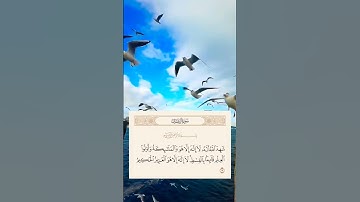 [سورة آل عمران] (18)
