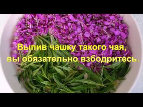 Иван-чай очень полезен для мужчин. - YouTube