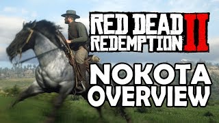 Nokota Overview | Red Dead Redemption 2 Horses