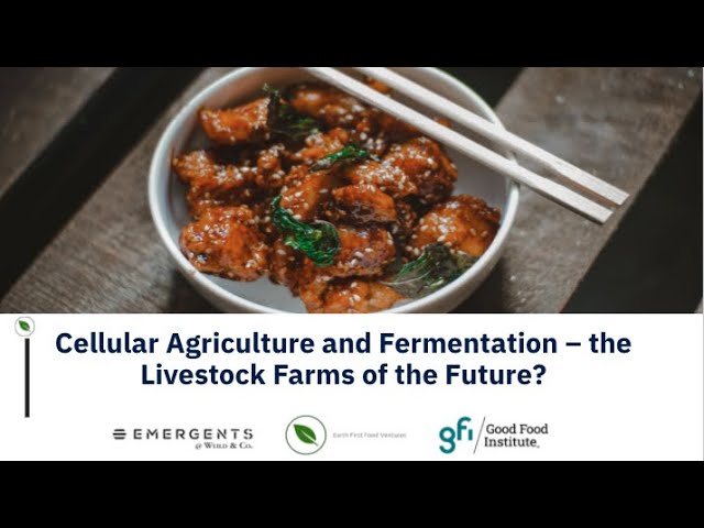 Cellular Agriculture and Fermentation – the Livestock Farms of the Future?