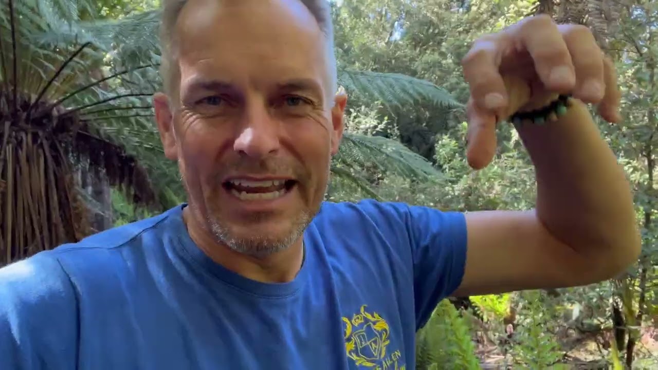 Fantastic Ferns Notley Hills Gorge, Tasmania