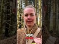 Stressfreies Lernen: Die Kraft der Gewohnheiten #shorts