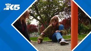 11-year-old Sequim girl battling health condition that affects 1 in 100 million