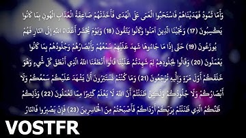 Sourate Foussilat | Ach-Chatri (41) سورة فصلت | ابو بكر الشاطري