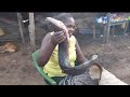 African village snake fish