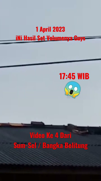 Wow 😱 ini Tarikan Magrib Walet Tetangga Kalau gini Responnya👍 #shorts #petaniwalet #viral